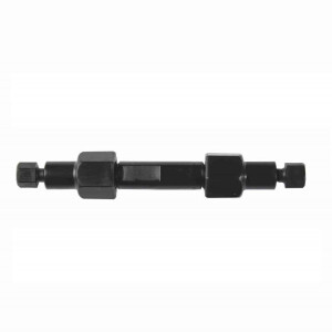 Dionex IonPac CS12A IC Guard Columns 50mm x 2mm x 8.5um